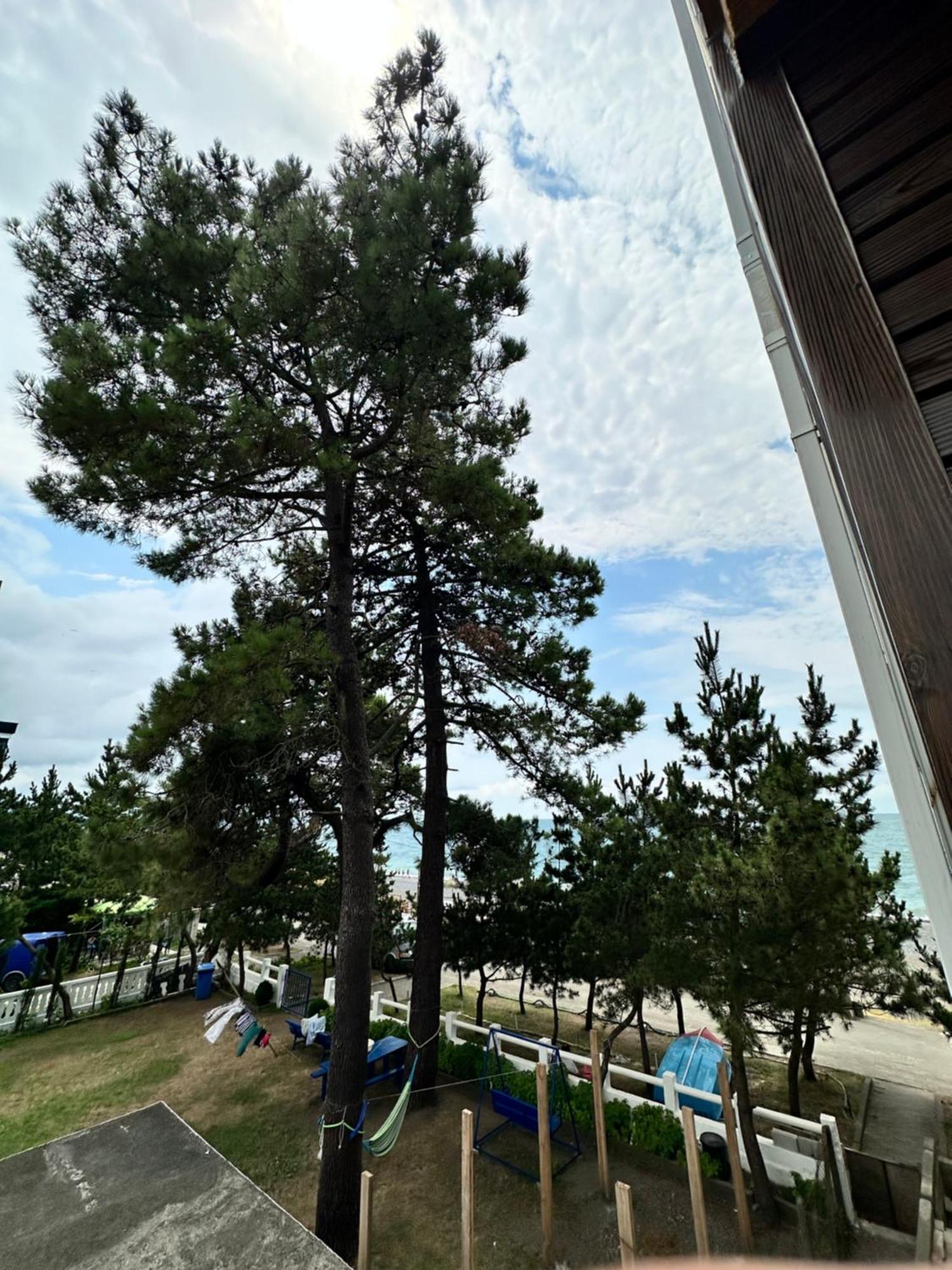 Hotel black sea Kobuleti Exteriör bild